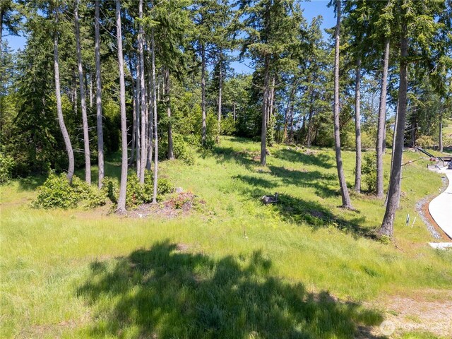 1417 Sergios View Ln, Oak Harbor, WA 98277 - photo 5