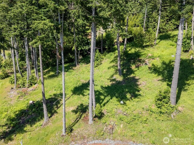 1417 Sergios View Ln, Oak Harbor, WA 98277 - photo 6