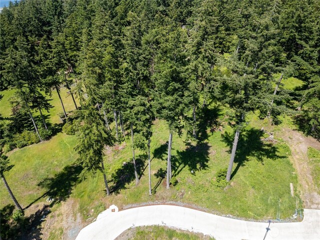 1417 Sergios View Ln, Oak Harbor, WA 98277 - photo 10