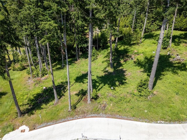 1417 Sergios View Ln, Oak Harbor, WA 98277 - photo 11