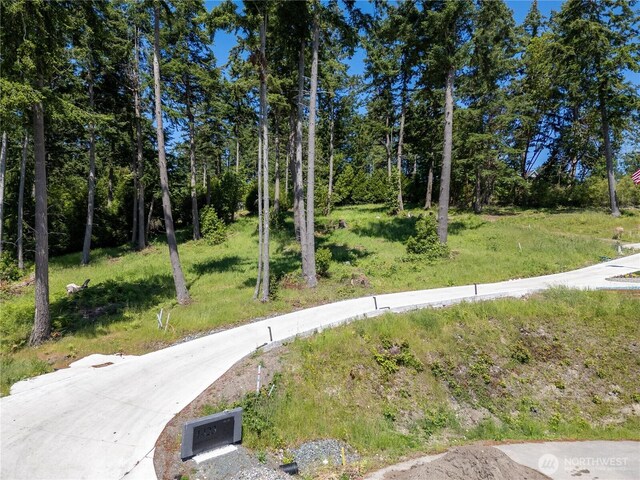 1417 Sergios View Ln, Oak Harbor, WA 98277 - photo 12