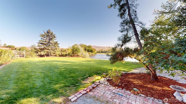 view of yard featuring a water view