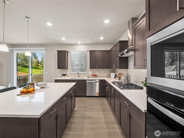 16226 SE 133rd Pl Unit 104, Renton, WA 98059 - kitchen with stainless steel appliances, a sink, dark brown cabinets, light wood-type flooring, and tasteful backsplash