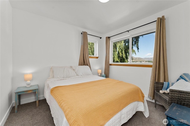 117 Water St, Chelan, WA 98816 - bedroom featuring carpet and baseboards