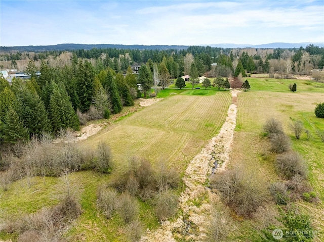 0 Shipyard Rd, Blaine, WA 98230 - photo 10