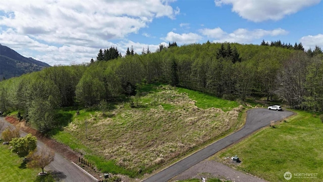 0 Elk Ridge Rd, Mossyrock, WA 98564