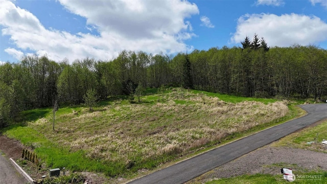 0 Elk Ridge Rd, Mossyrock, WA 98564
