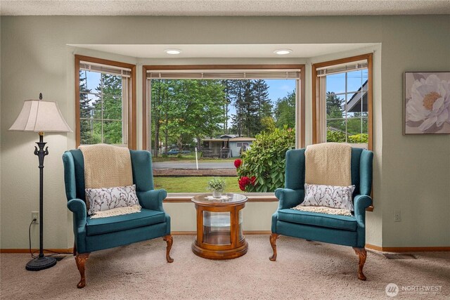 13124 50th Ave E, Tacoma, WA 98446 - photo 6