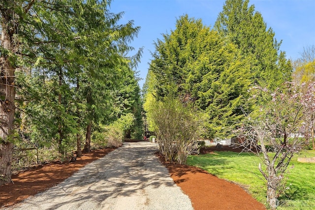 view of home's community featuring driveway and a lawn