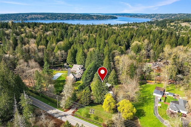aerial view featuring a view of trees and a water view