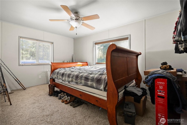 14205 205th Street Ct E, Graham, WA 98338 - bedroom with a ceiling fan and carpet flooring