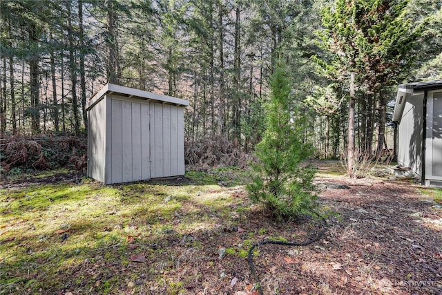 14205 205th Street Ct E, Graham, WA 98338 - view of yard featuring a storage unit, an outbuilding, and a wooded view