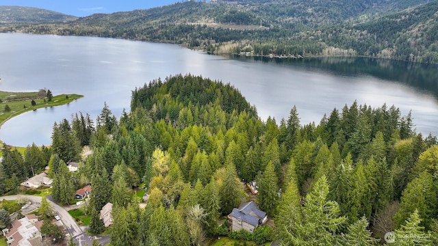 aerial view featuring a wooded view and a water and mountain view