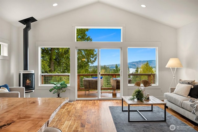 living area with a wood stove, light wood finished floors, vaulted ceiling, and a mountain view