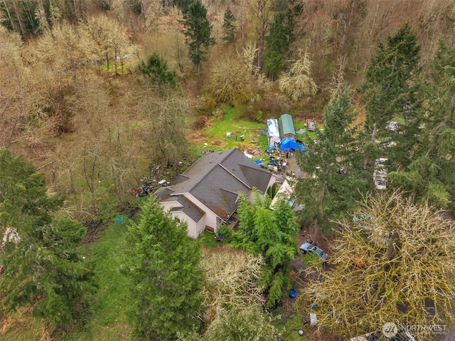 bird's eye view