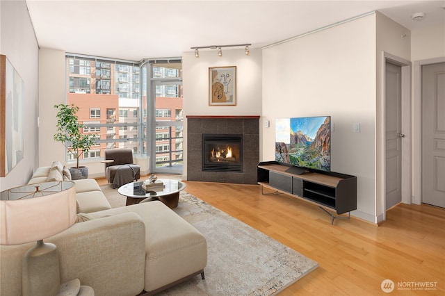 living area featuring rail lighting, plenty of natural light, wood finished floors, and a fireplace