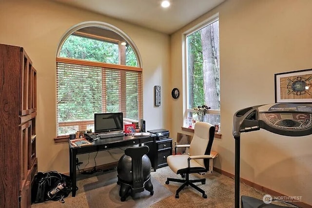 41 Rocky Ridge Dr, Bellingham, WA 98229 - office space with baseboards