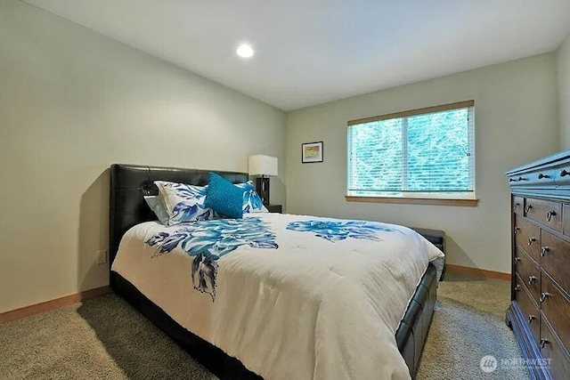 41 Rocky Ridge Dr, Bellingham, WA 98229 - bedroom with baseboards and carpet flooring