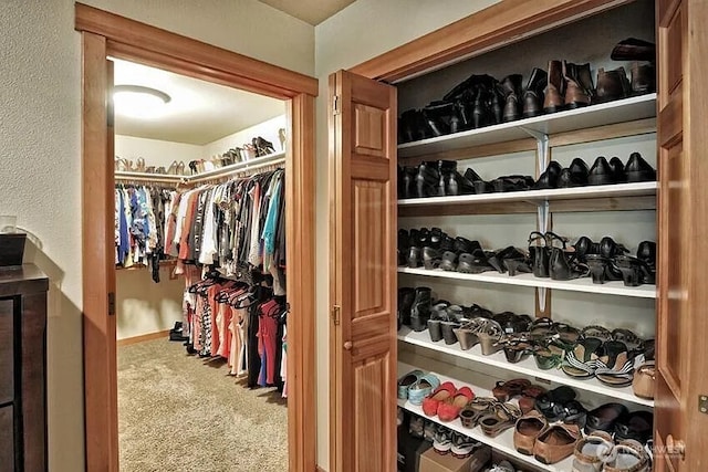 41 Rocky Ridge Dr, Bellingham, WA 98229 - walk in closet with carpet flooring