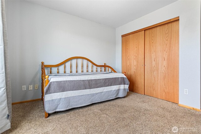 bedroom featuring carpet flooring, a closet, and baseboards