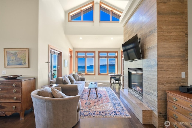 9535 Semiahmoo Pkwy Unit B305, Blaine, WA 98230 - living room featuring dark wood-style floors, a fireplace, and high vaulted ceiling