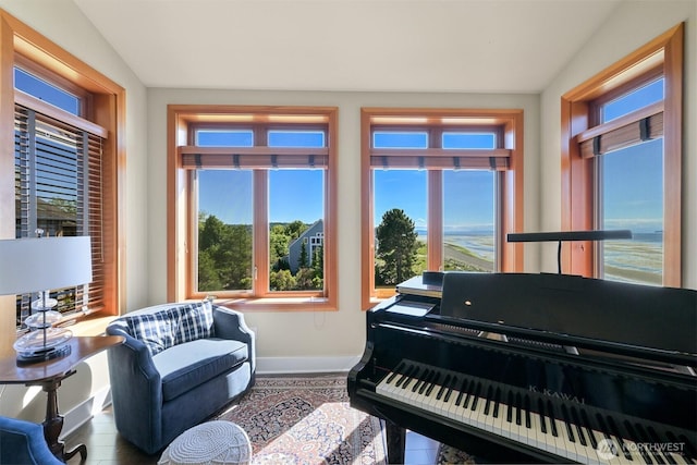 9535 Semiahmoo Pkwy Unit B305, Blaine, WA 98230 - living area with a wealth of natural light, vaulted ceiling, wood finished floors, and baseboards
