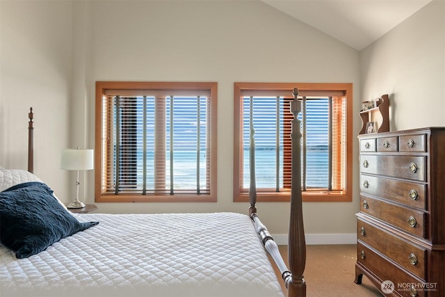 9535 Semiahmoo Pkwy Unit B305, Blaine, WA 98230 - bedroom featuring carpet flooring, baseboards, and vaulted ceiling