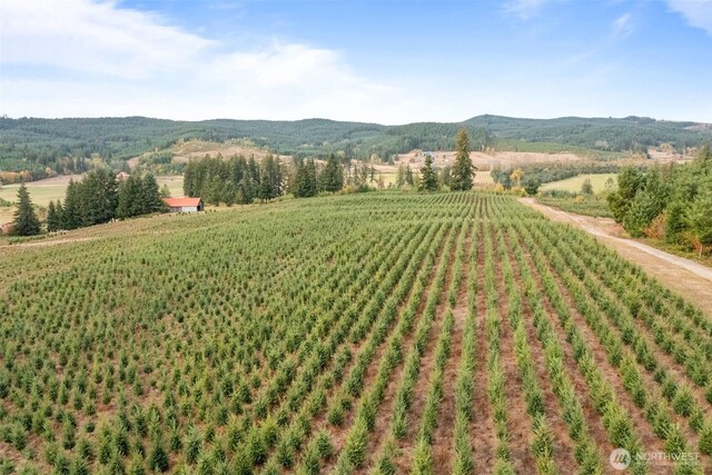 1827 Lincoln Creek Rd, Rochester, WA 98579 - photo 36