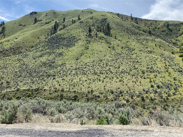 1585 Pitcher Canyon Rd, Wenatchee, WA 98801 - photo 1