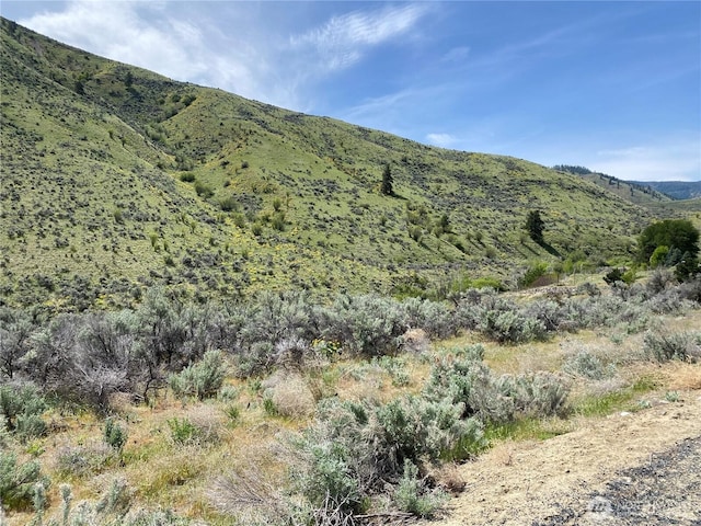 1585 Pitcher Canyon Rd, Wenatchee, WA 98801 - photo 2