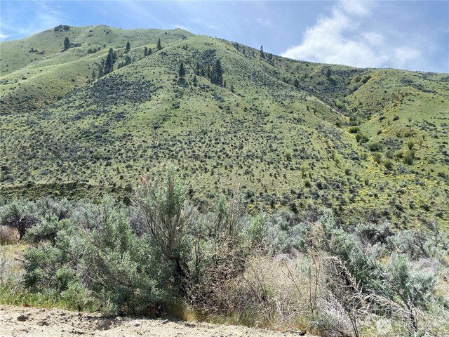 1585 Pitcher Canyon Rd, Wenatchee, WA 98801 - photo 4