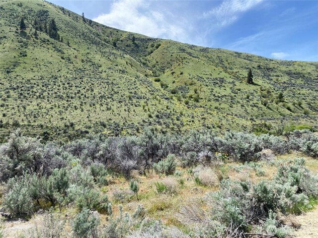 1585 Pitcher Canyon Rd, Wenatchee, WA 98801 - photo 5