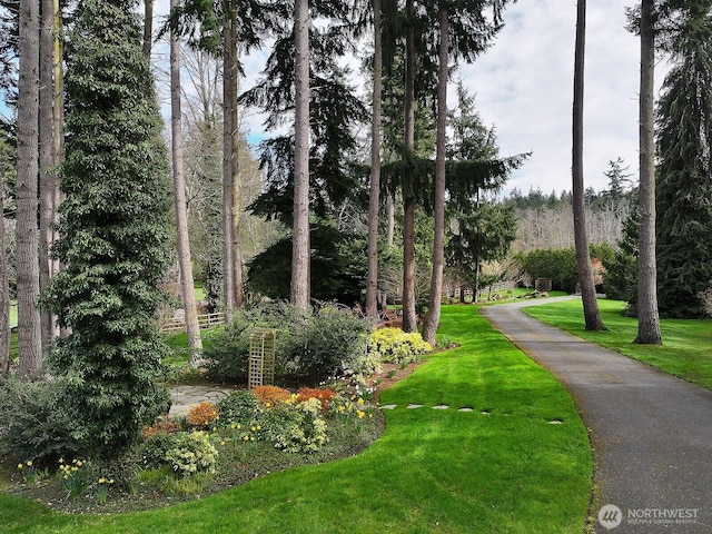 5208 E Harbor Rd, Freeland, WA 98249 - photo 4