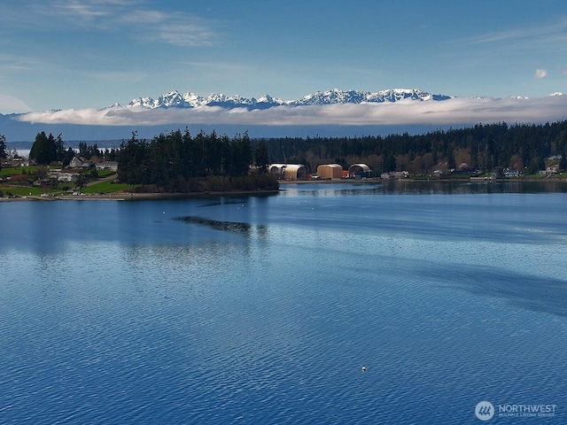 5208 E Harbor Rd, Freeland, WA 98249 - photo 8