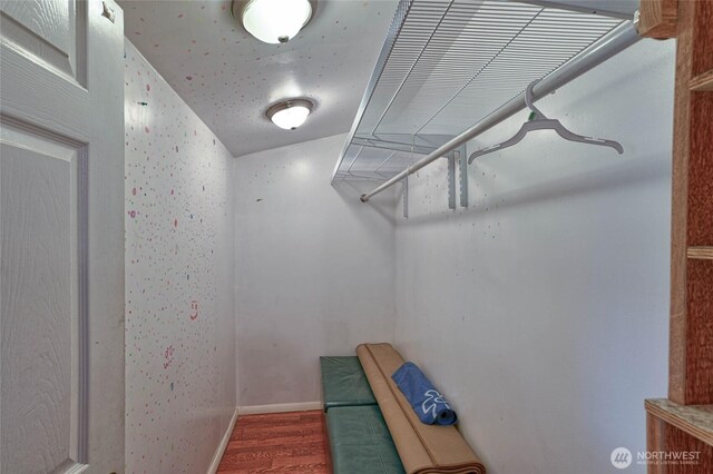 spacious closet featuring wood finished floors