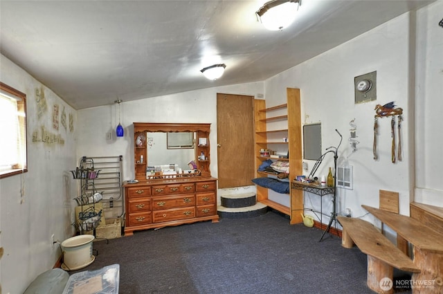 miscellaneous room featuring dark colored carpet and lofted ceiling