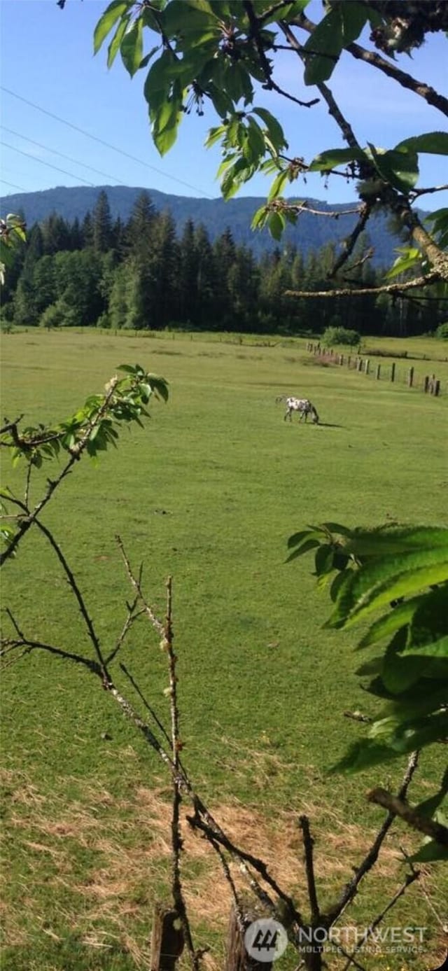 surrounding community with a rural view and a yard