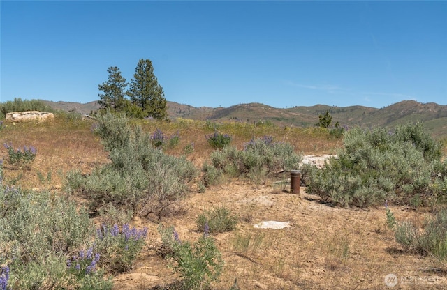 3LOT Highland Vis, Methow, WA 98834 - photo 3