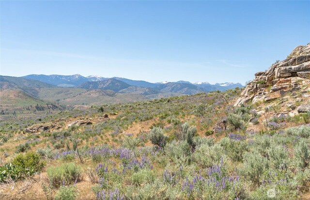 3LOT Highland Vis, Methow, WA 98834 - photo 5