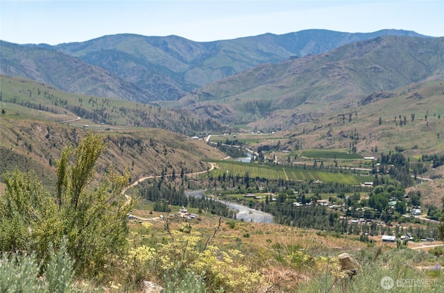 3LOT Highland Vis, Methow, WA 98834 - photo 6