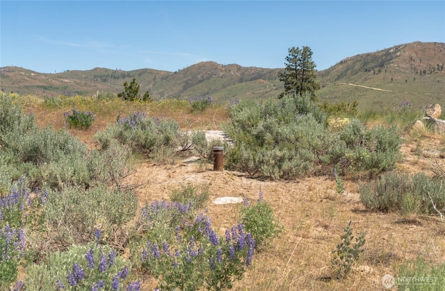 3LOT Highland Vis, Methow, WA 98834 - photo 7