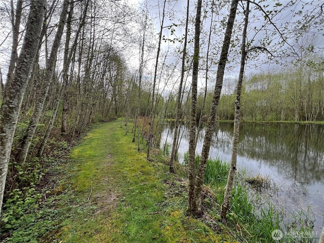 property view of water featuring a wooded view