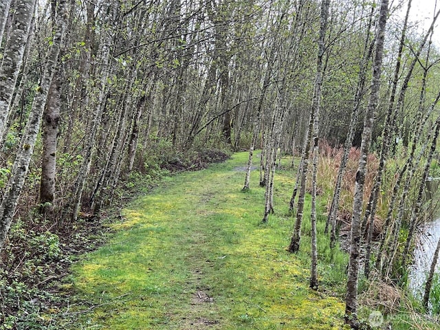 view of yard featuring a view of trees