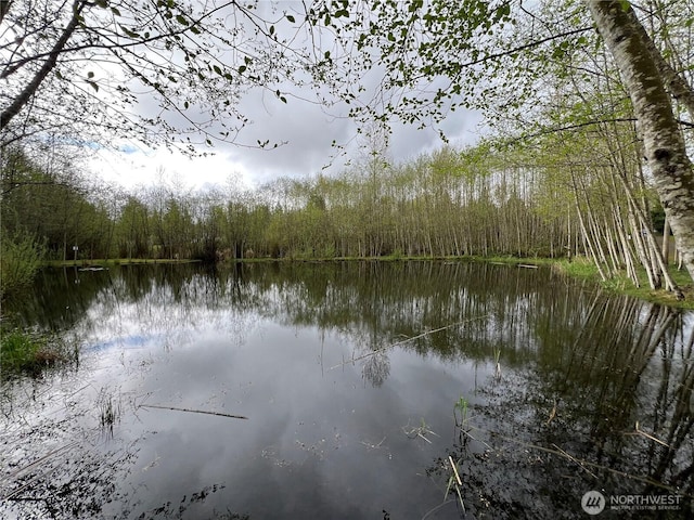 view of water feature with a forest view