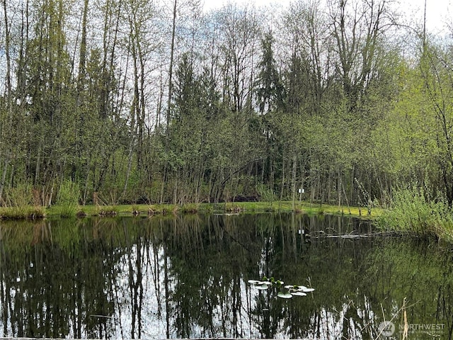 view of water feature