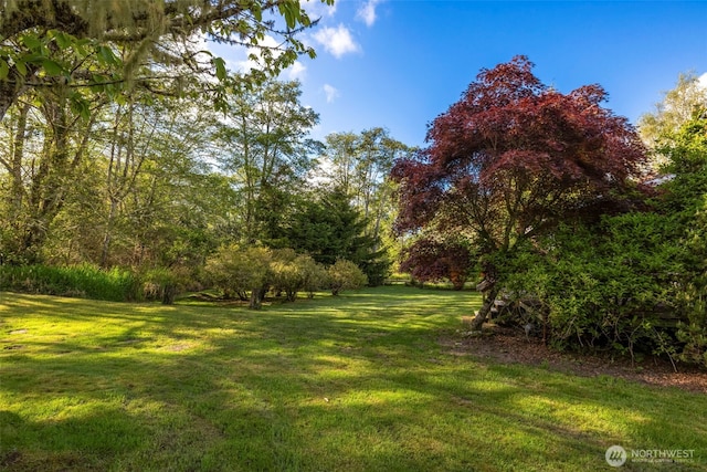 3404 Oysterville Rd, Oysterville, WA 98641 - view of yard