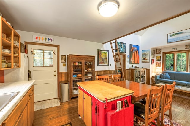3404 Oysterville Rd, Oysterville, WA 98641 - kitchen with a wainscoted wall, tile countertops, vaulted ceiling, and dark wood-style flooring