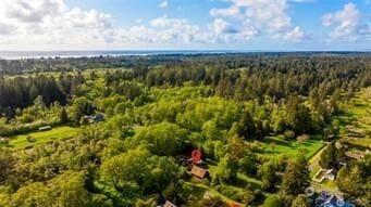3404 Oysterville Rd, Oysterville, WA 98641 - drone / aerial view with a forest view