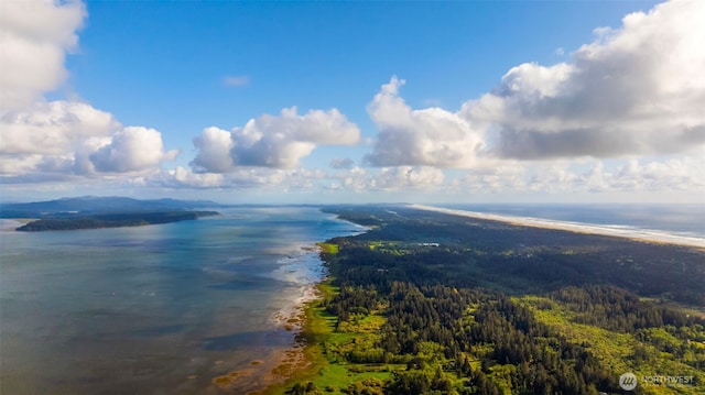 3404 Oysterville Rd, Oysterville, WA 98641 - water view with a forest view