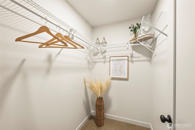 19713 17th St SW, Lakebay, WA 98349 - walk in closet with carpet floors